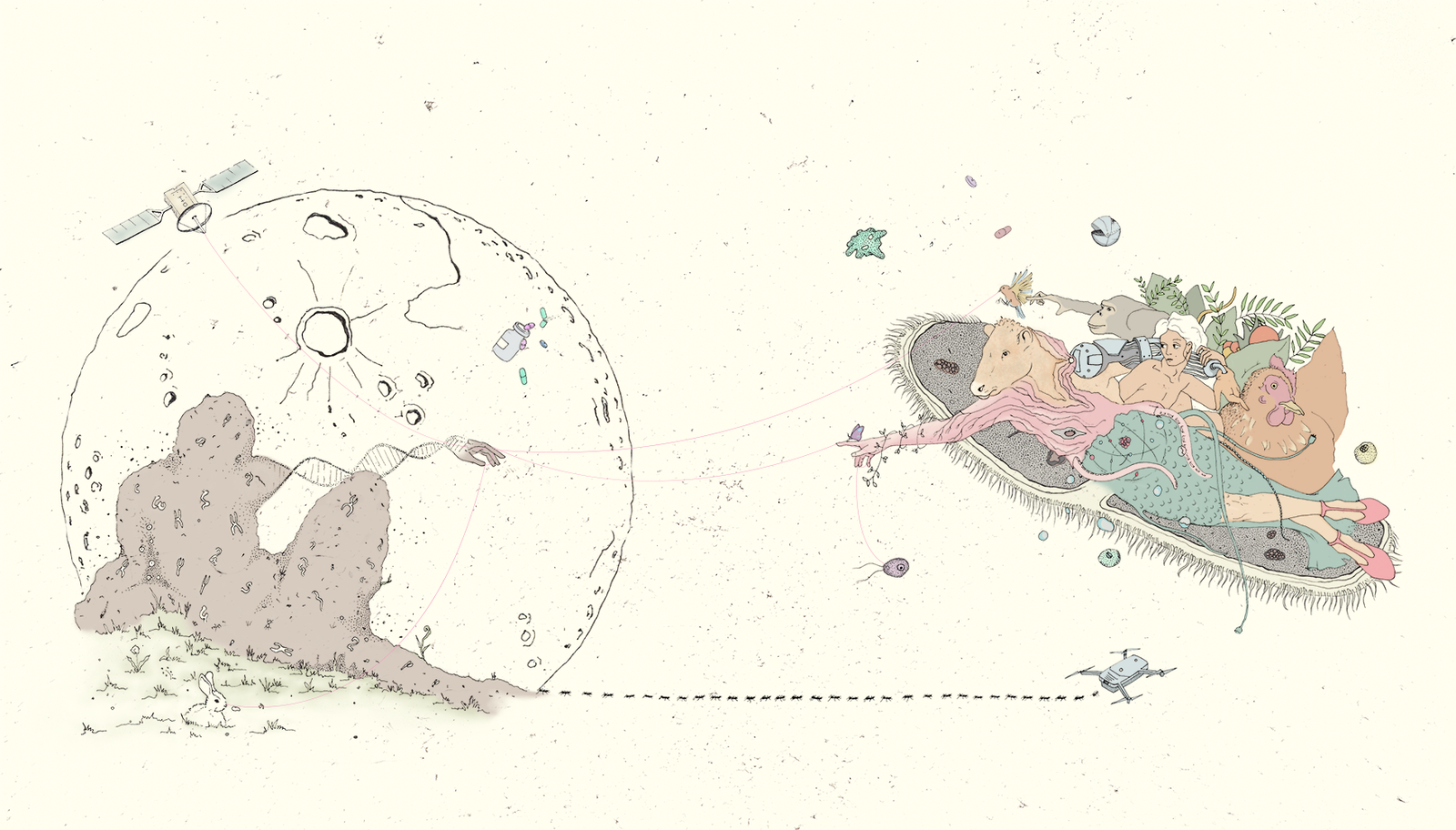 feminism philosophy science illustration